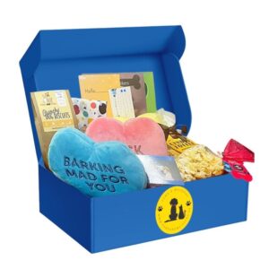 Paws Valentine Box
